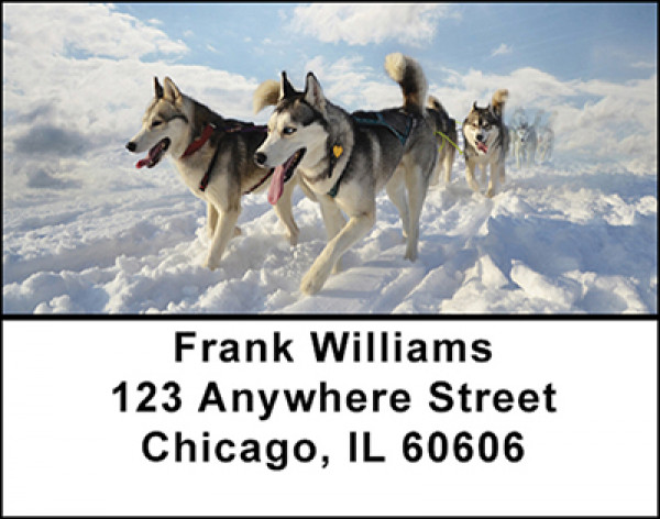 Amazing Siberian Huskies Address Labels | LBBAM-81