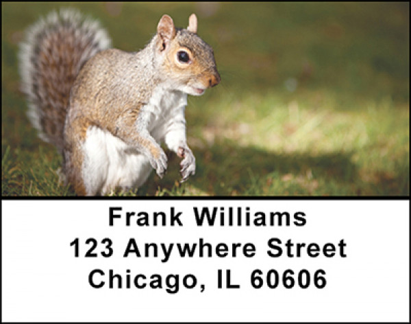The Squirrel Address Labels | LBBAM-83
