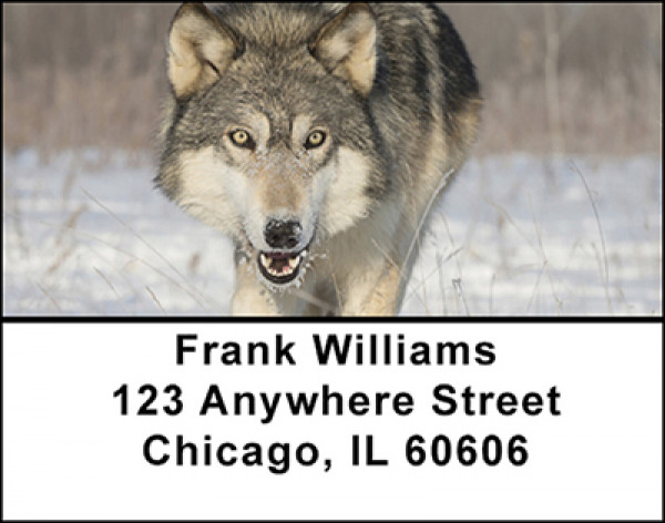 Predators Looking For Prey Address Labels | LBBAN-46
