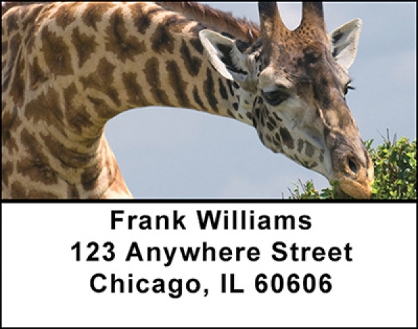 African Wildlife Address Labels | LBBAO-01
