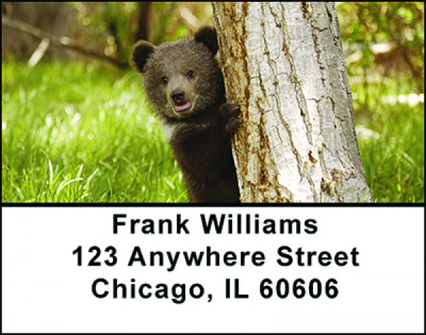 Adorable Bear Cubs Address Labels | LBBAO-03