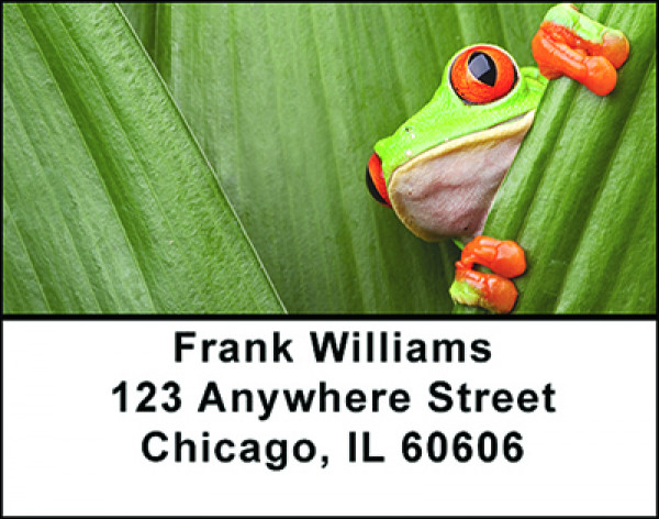 Froggy The Tree Frog Address Labels | LBBAO-23