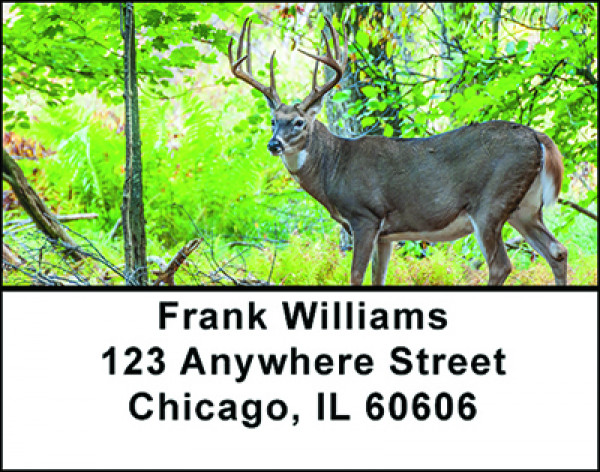 Deer Hunting Trips Address Labels | LBBAO-27