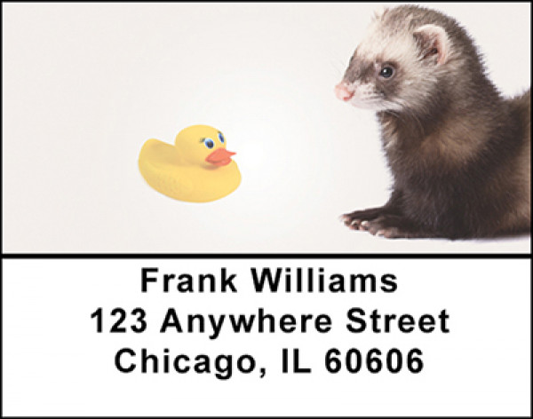 Ferret Mischief Address Labels | LBBAP-63