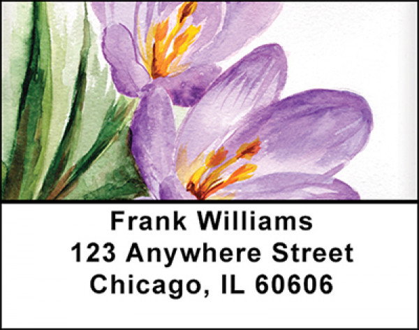 Purple Crocus Watercolor Art Address Labels | LBBAQ-59