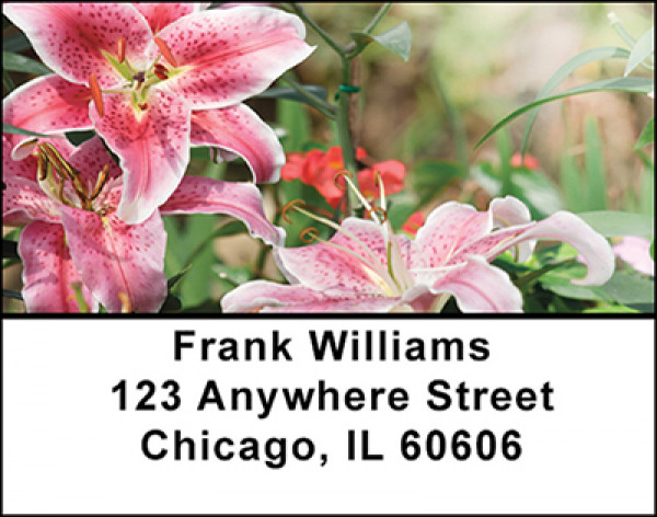 Gardens in Bloom Address Labels | LBBAQ-62