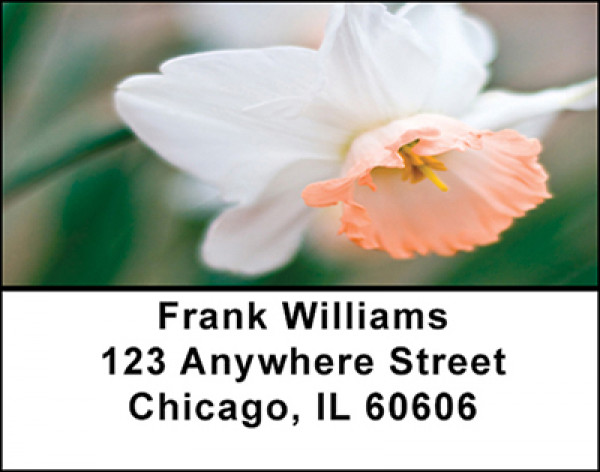 Floral Favorites Address Labels | LBBAQ-65