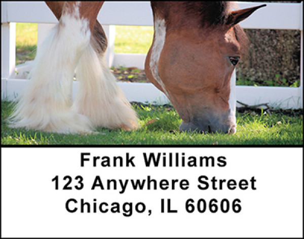 Clydesdale Horses Address Labels | LBBAQ-87