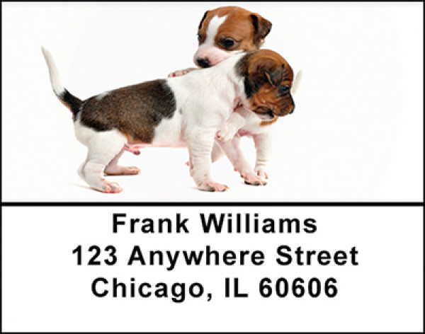 Jack Russell Babies Address Labels | LBBAQ-89