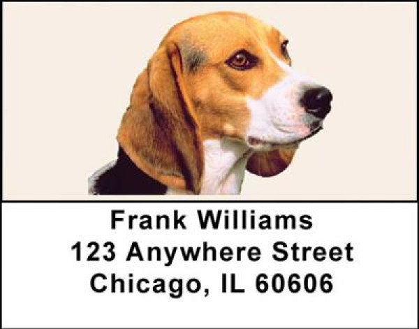 Beagles Address Labels | LBDOG-12