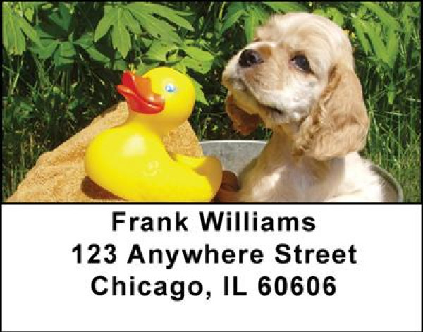 Cocker Spaniels Are Cute Address Labels | LBDOG-18