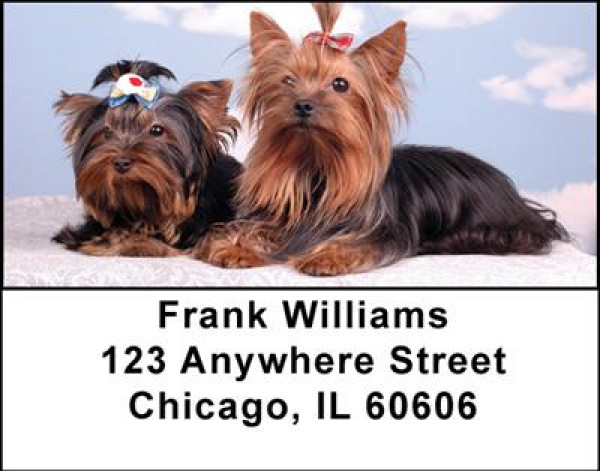 Yorkshire Double Trouble Address Labels | LBDOG-25