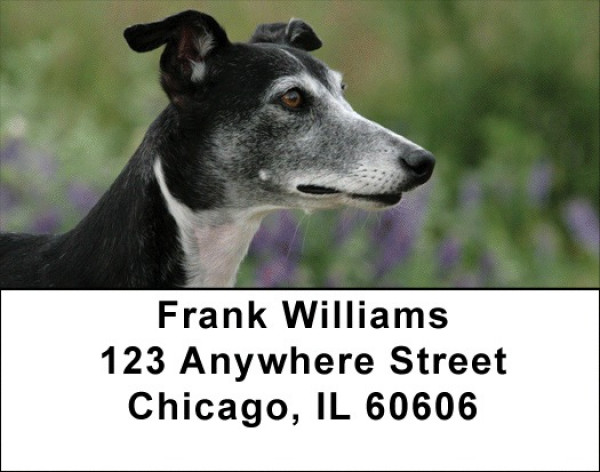 Whippets Are Wily Address Labels | LBDOG-75