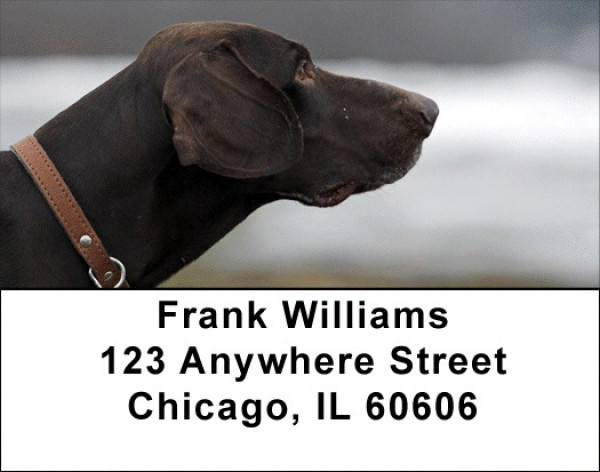 German Shorthair Pointer Address Labels | LBDOG-78
