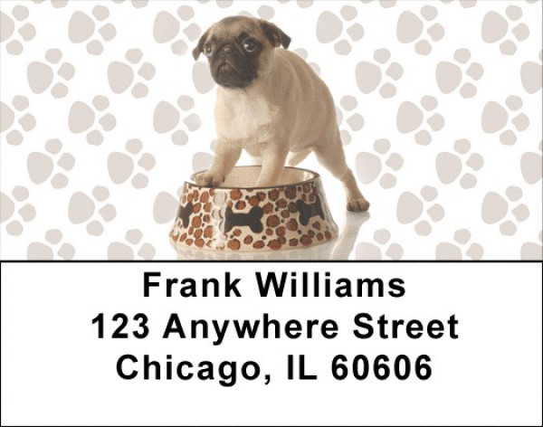 Pugs are Mischievous Address Labels | LBDOG-87