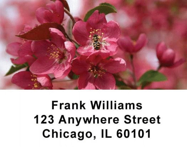 Nature's Beauty Address Labels | LBNAT-01