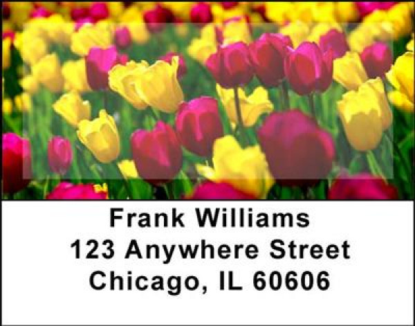 Tulips Address Labels | LBNAT-06
