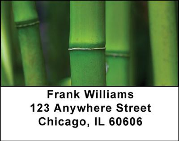 Bamboo Address Labels | LBNAT-18