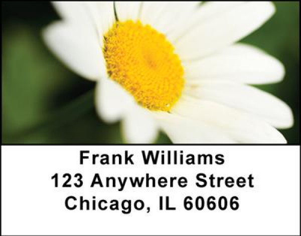 She Loves Me Address Labels | LBNAT-20