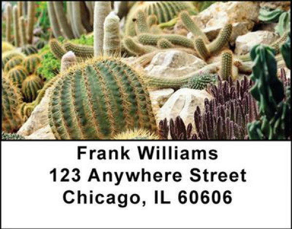 Cactus Flowers Address Labels | LBNAT-21